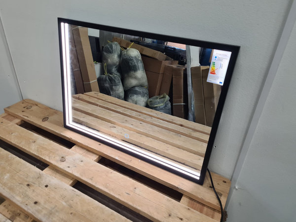 Plieger Spiegel 100 x 60 cm met verlichting en verwarming